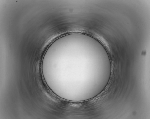 X0000091300155200708101055