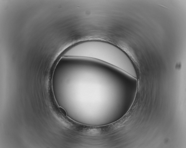 X0000091300156200708101055