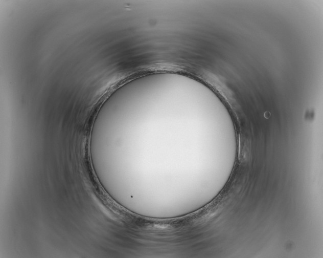 X0000091300157200708101055