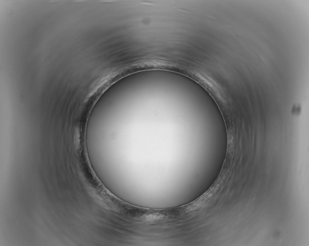 X0000091300158200708101055