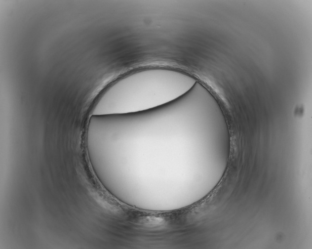 X0000091300159200708101055