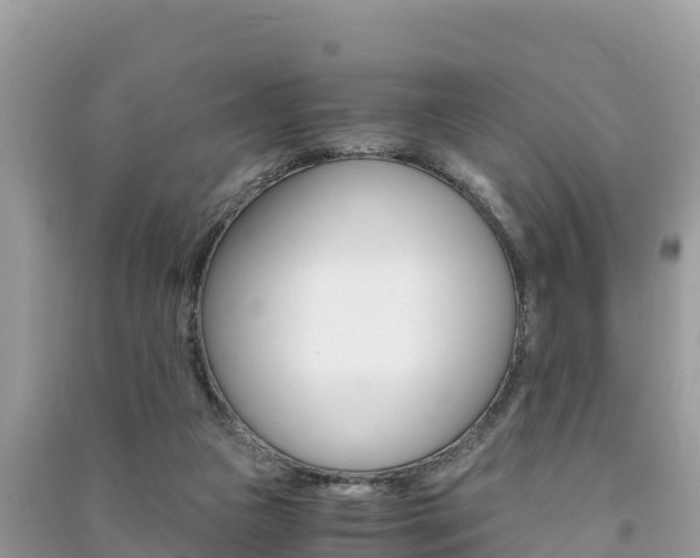 X0000091300161200708101055