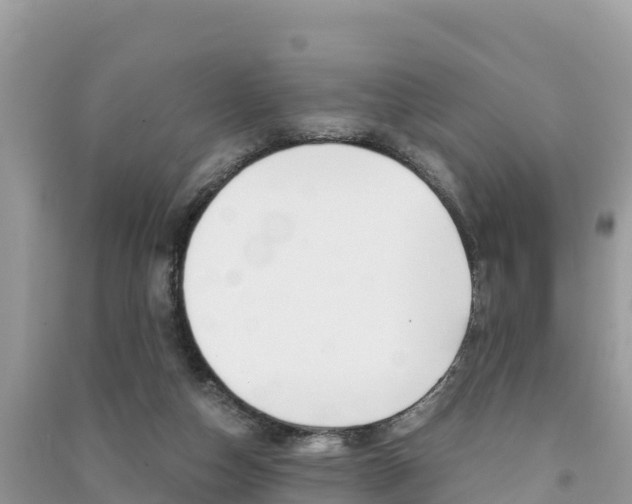 X0000091300162200708101055