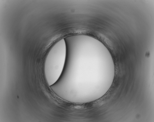 X0000091300163200708101056