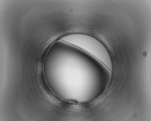 X0000091300164200708101056