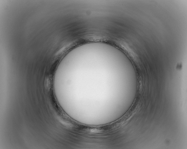 X0000091300165200708101056