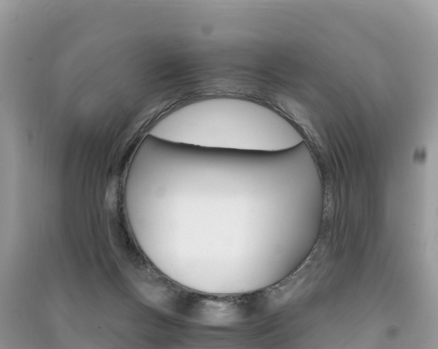 X0000091300167200708101056
