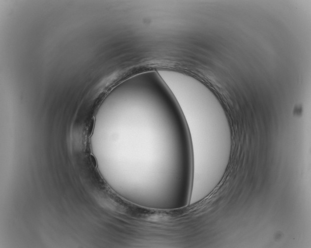 X0000091300168200708101056