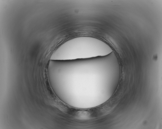 X0000091300169200708101056
