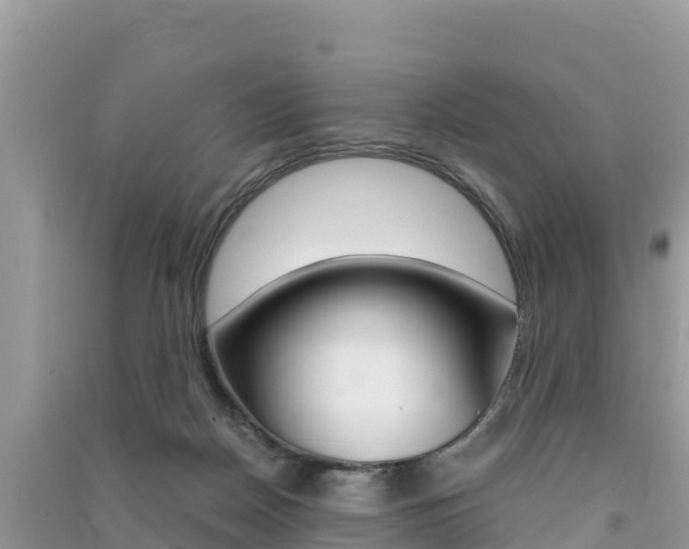 X0000091300170200708101056