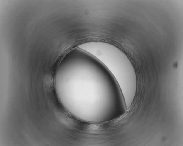 X0000091300176200708101056