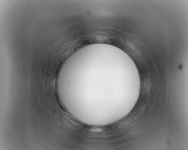 X0000091300177200708101056