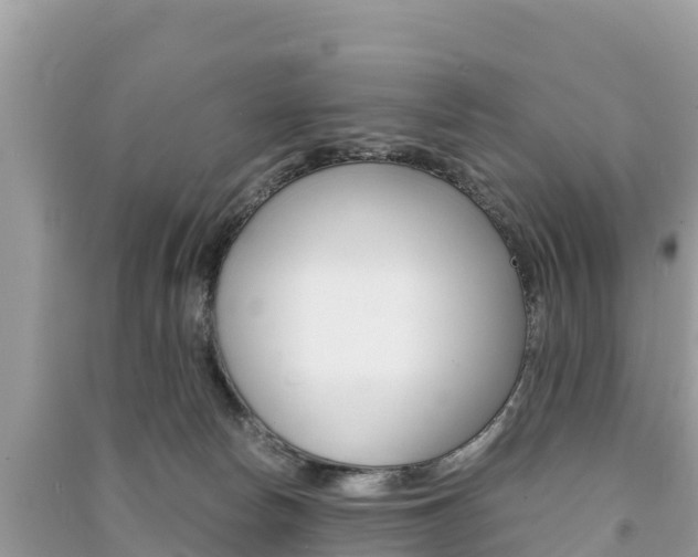 X0000091300178200708101056