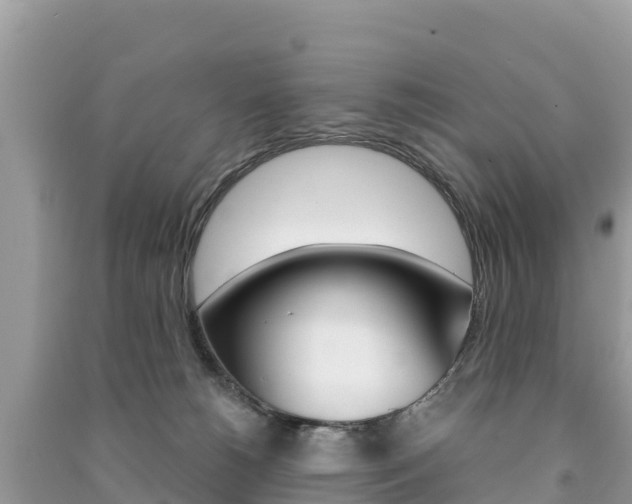 X0000091300180200708101056