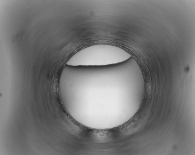 X0000091300181200708101056