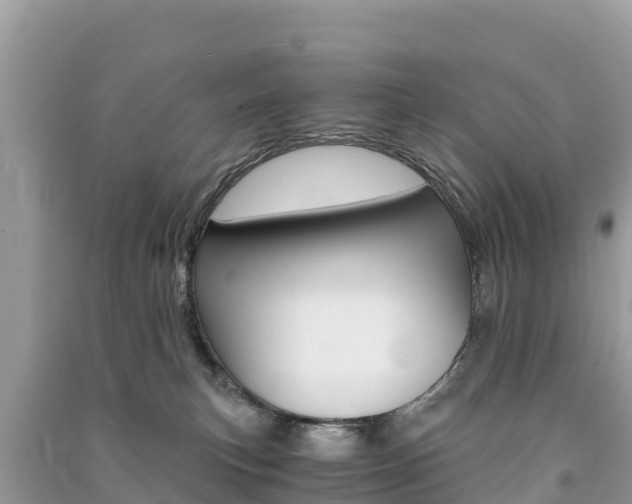 X0000091300183200708101056