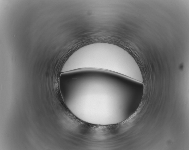 X0000091300186200708101056