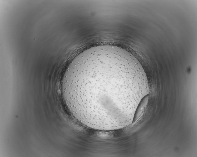 X0000091300187200708101056