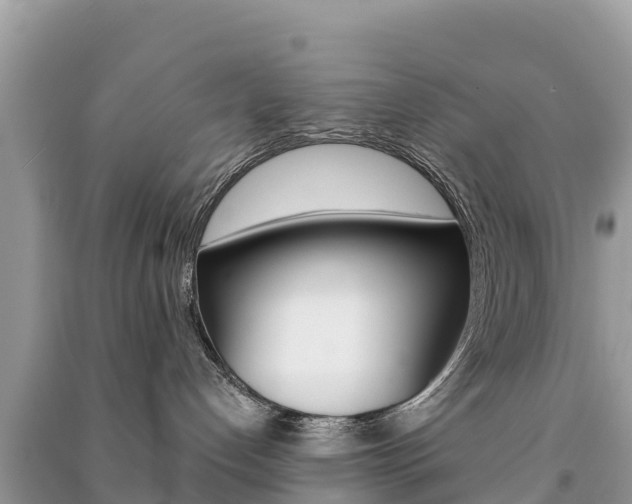 X0000091300192200708101056