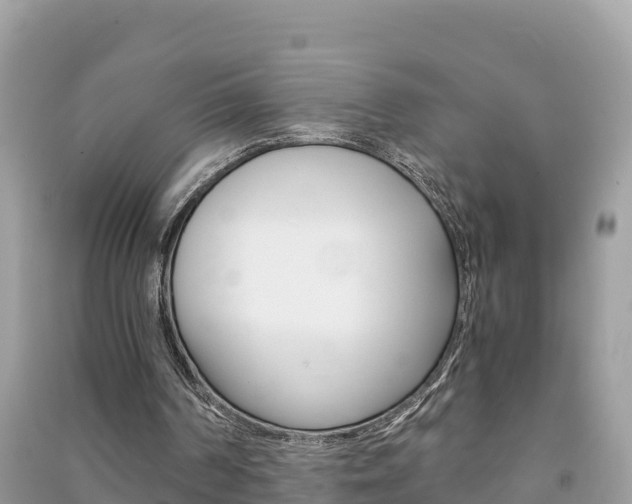 X0000091300194200708101055