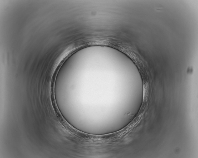 X0000091300195200708101055