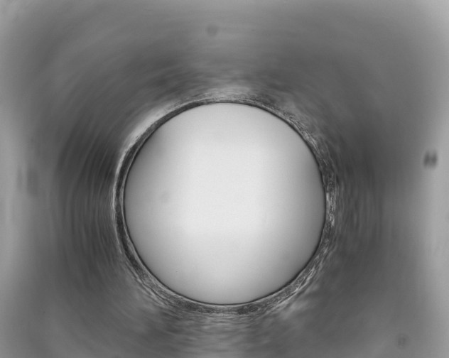 X0000091300196200708101055