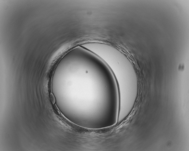 X0000091300197200708101055