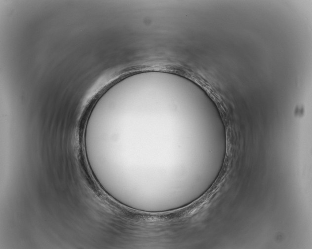 X0000091300198200708101055