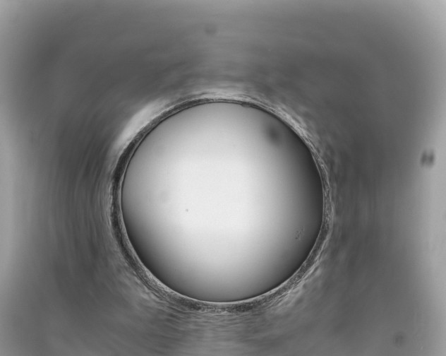 X0000091300199200708101055