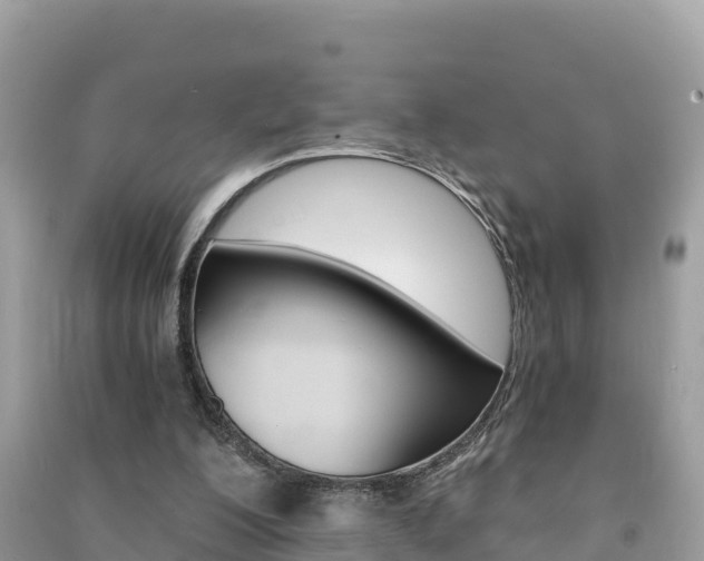 X0000091300200200708101055