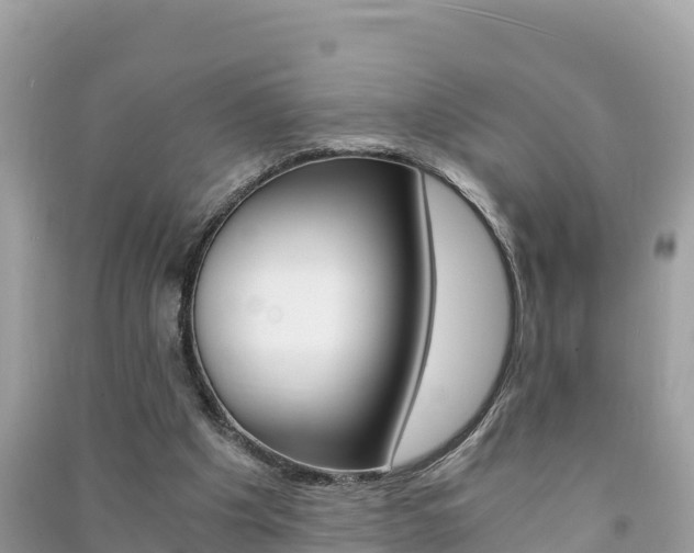 X0000091300201200708101055