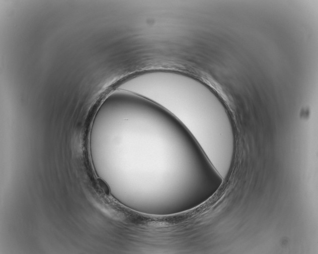 X0000091300203200708101055