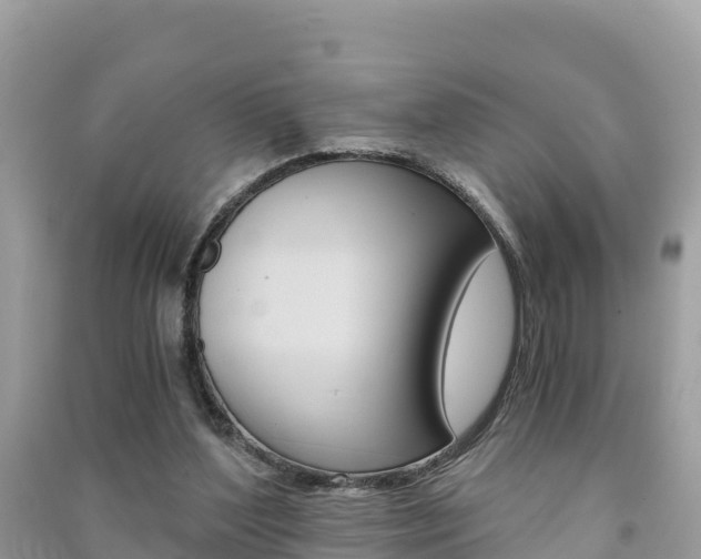 X0000091300204200708101055