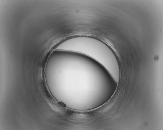 X0000091300205200708101055