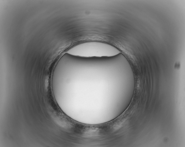 X0000091300206200708101055