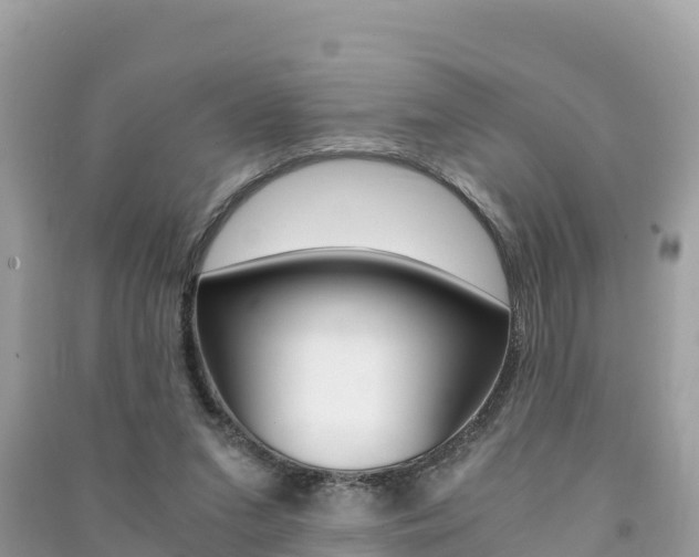 X0000091300207200708101055