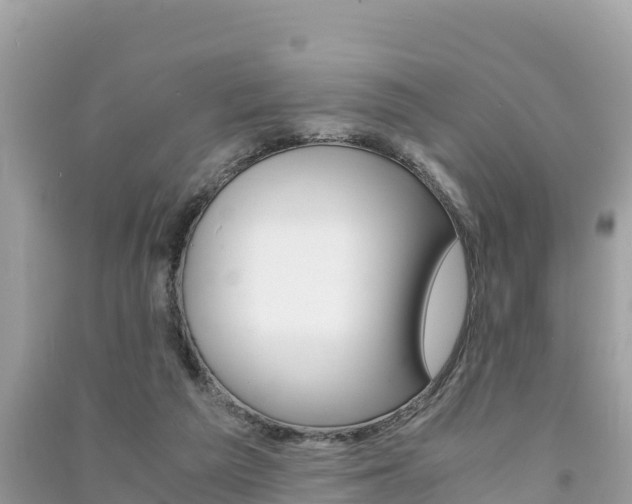 X0000091300209200708101055