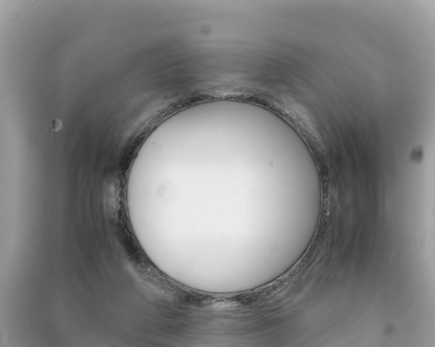 X0000091300210200708101055