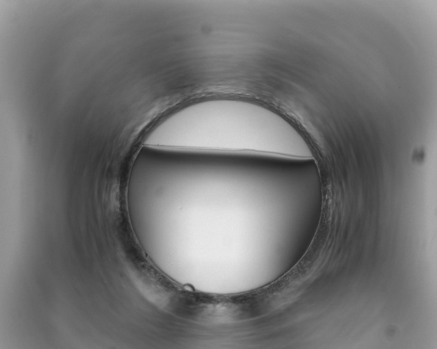 X0000091300212200708101055