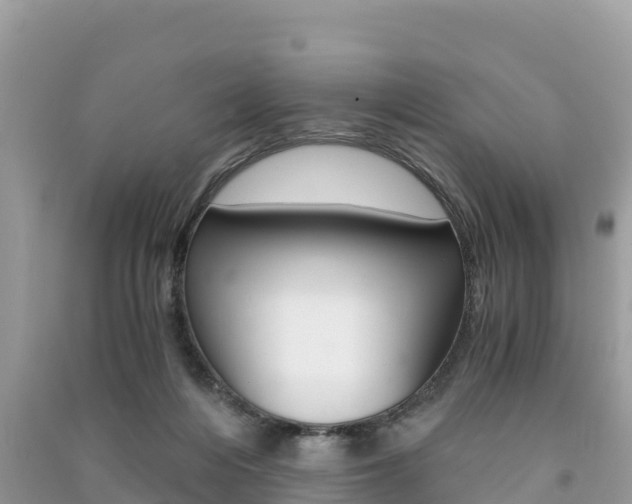 X0000091300216200708101055