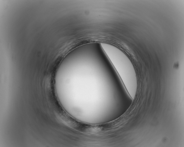 X0000091300217200708101055