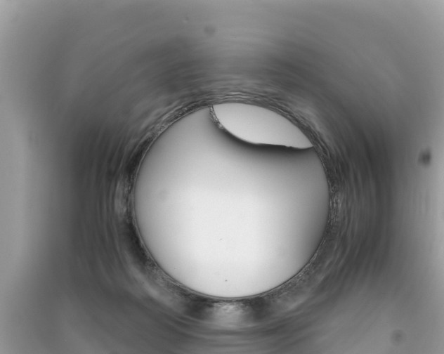 X0000091300218200708101055