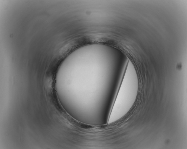 X0000091300219200708101055