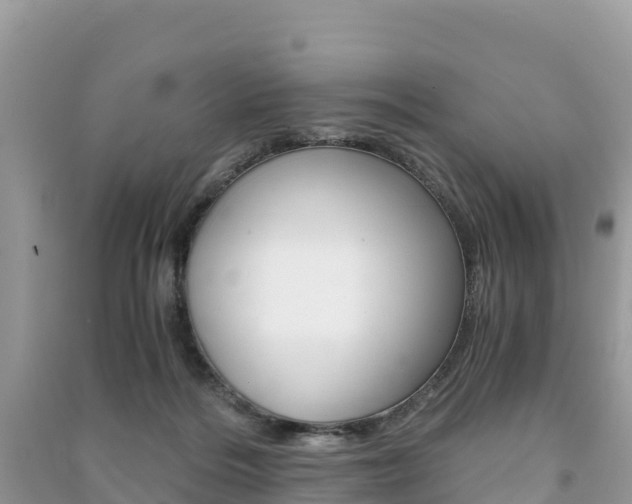 X0000091300220200708101055