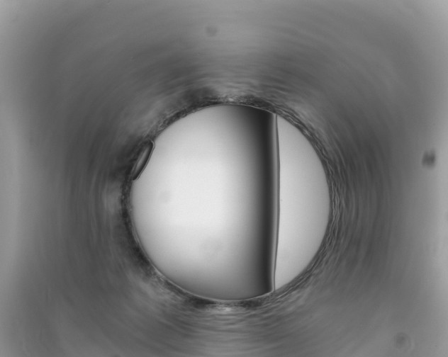 X0000091300221200708101055