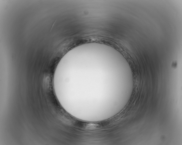 X0000091300222200708101055