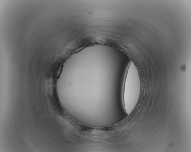 X0000091300223200708101055