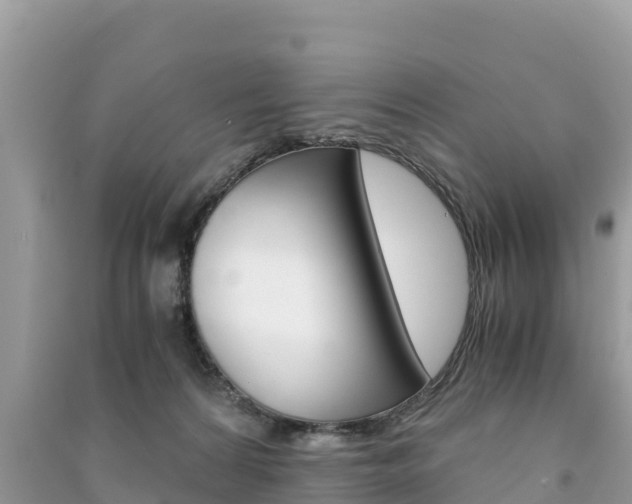 X0000091300224200708101055