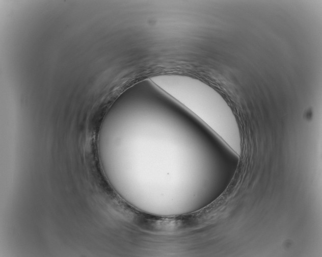 X0000091300225200708101055