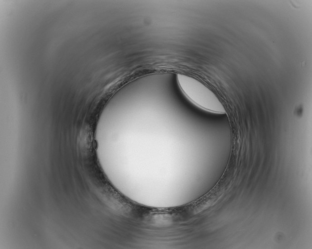 X0000091300228200708101055